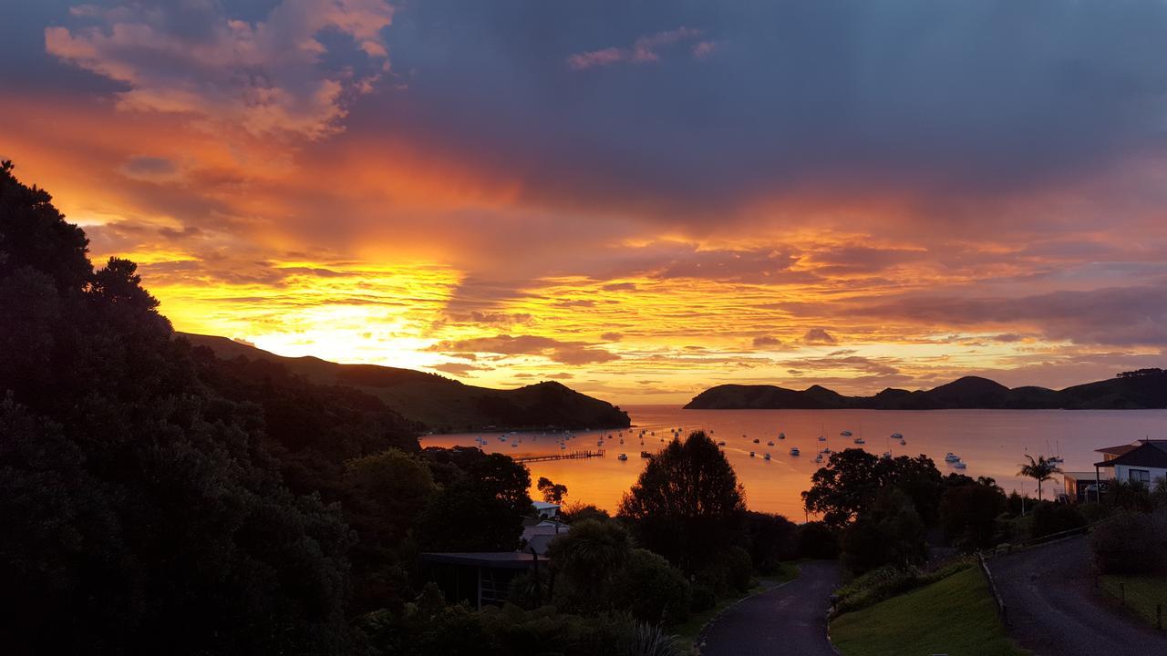 Bird Haven Bed & Breakfast Coromandel Dış mekan fotoğraf