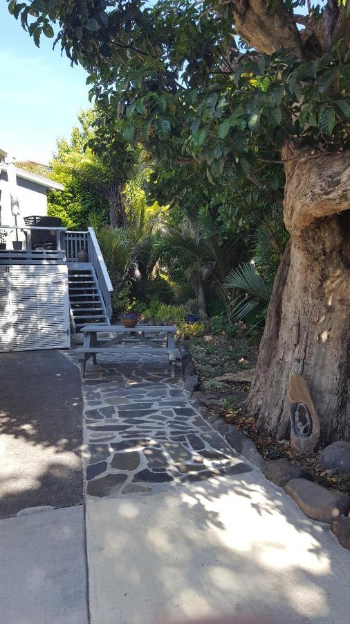 Bird Haven Bed & Breakfast Coromandel Dış mekan fotoğraf